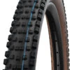 Schwalbe Wicked Will Evo Super Race 29x2,40" Addix SpeedGrip E-50 Pneus Pliants -Équipement De Vélo hs614 schwalbe wicked will speedgrip bronze standardiNK0pYEIMqMrg